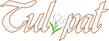 Tulipat